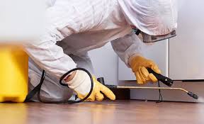 Best Real Estate Pest Inspections  in Worland, WY